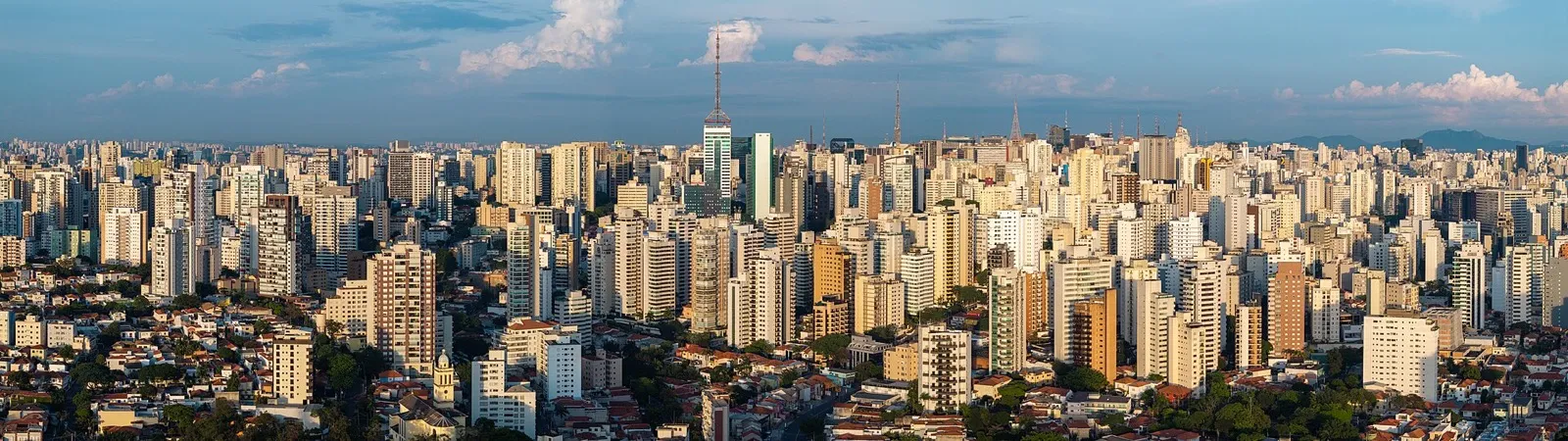 Vista aérea do horizonte de São Paulo, com prédios concentrados e área verde ao fundo