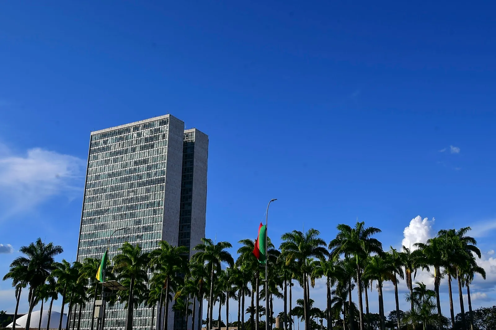 Torres de concreto do Palácio do Congresso Nacional sob céu azul, com palmeiras em primeiro plano