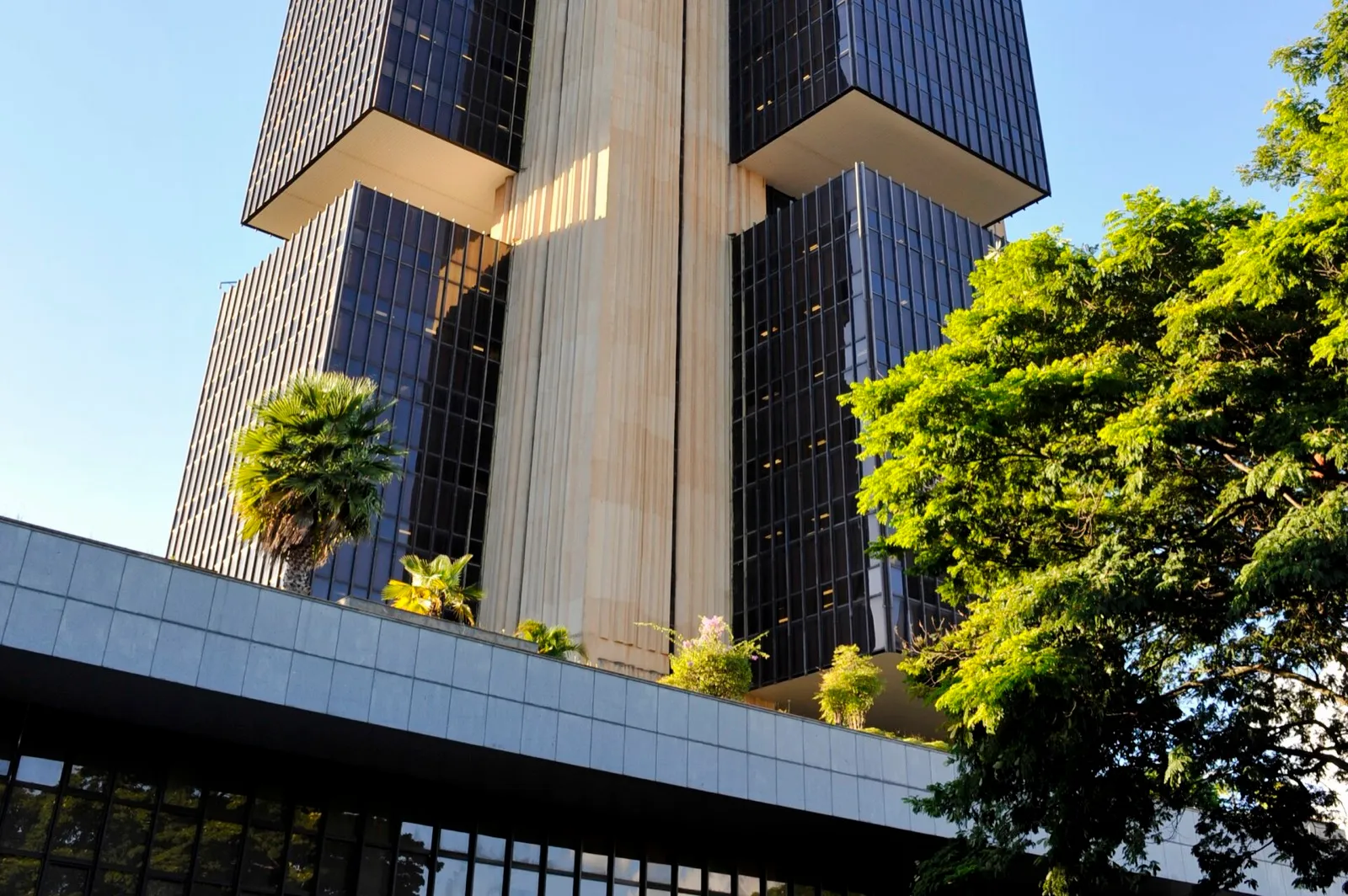Fachada do edifício-sede do Banco Central do Brasil, em Brasília, com torres de vidro escuro, colunas claras e árvores em primeiro plano